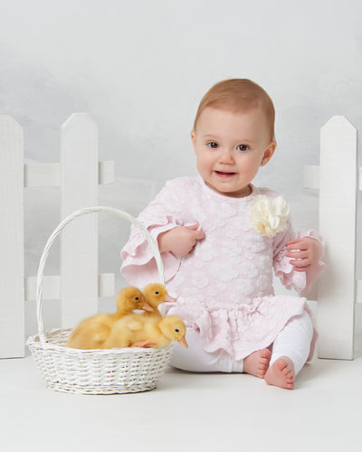 baby ducks wyandotte photography studio