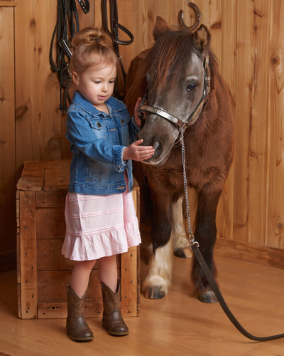 baby girl pet pony photoshoot