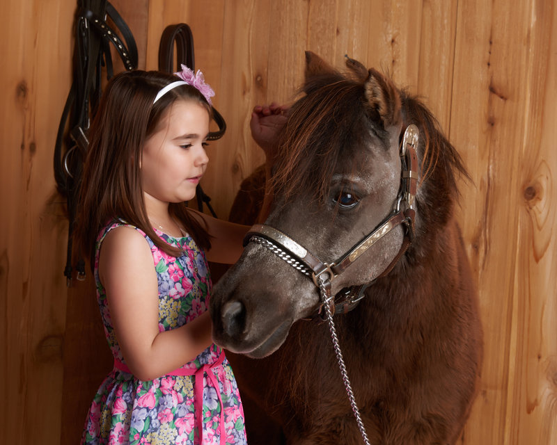 little girl with pony photography