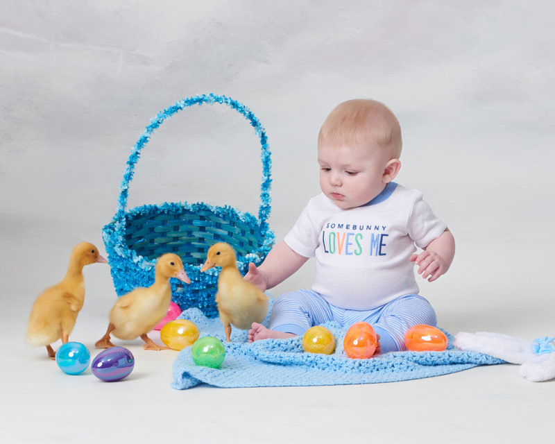 baby with easter basket photo